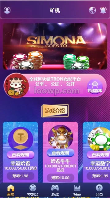 4语言USDT哈希竞猜源代码完整运营版/自动查询交易链