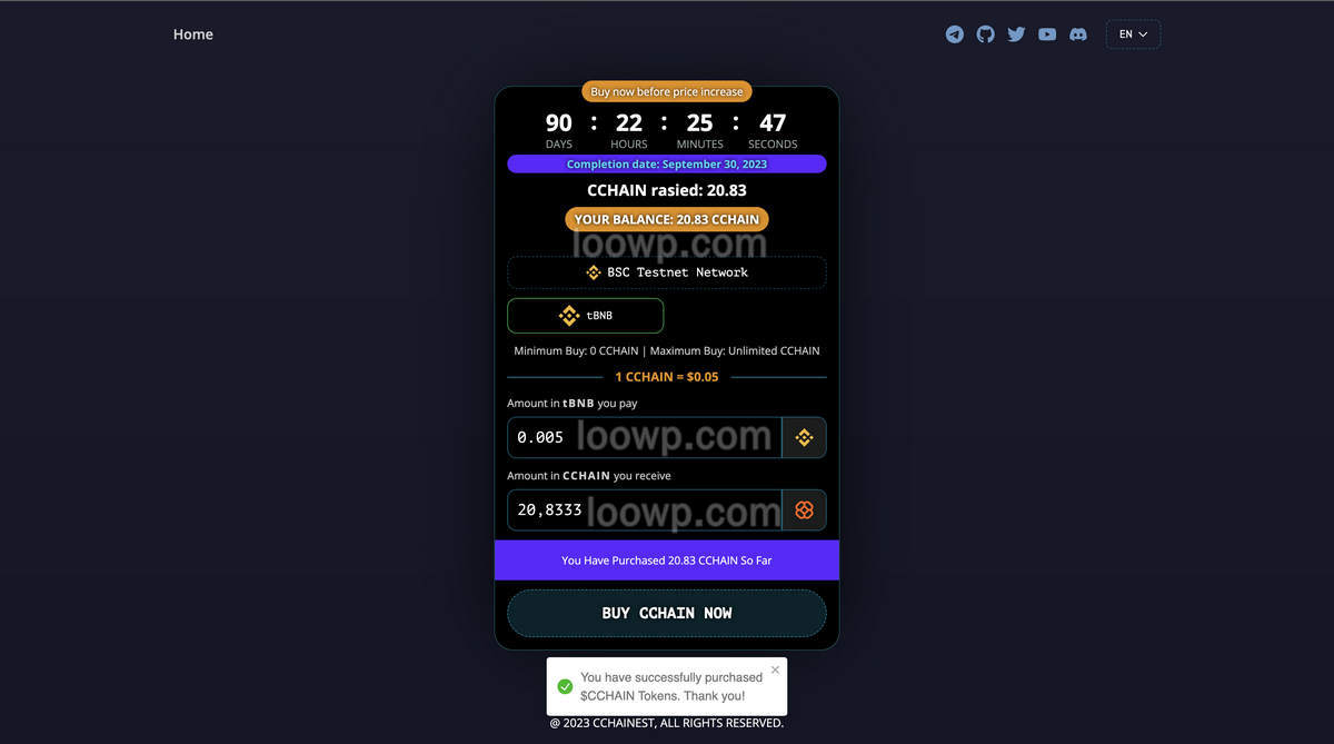 USDT跨区块链EVM Web 3 ICO预售Dapp网站源码+智能合约
