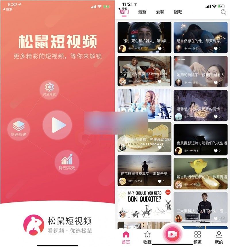 【短视频分享三端源码全开源】松鼠短视频完美开源系统源码 带后台+Android IOS双端原生APP源码