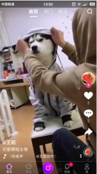 2021.3月二开版云豹直播/短视频系统PHP源码+Android+iOS源码/带教程和开发文档 - 文章相册插图