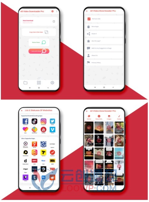 Tiktok|脸书|抖音短视频无水印下载器Android原生APP源码V9.4.9