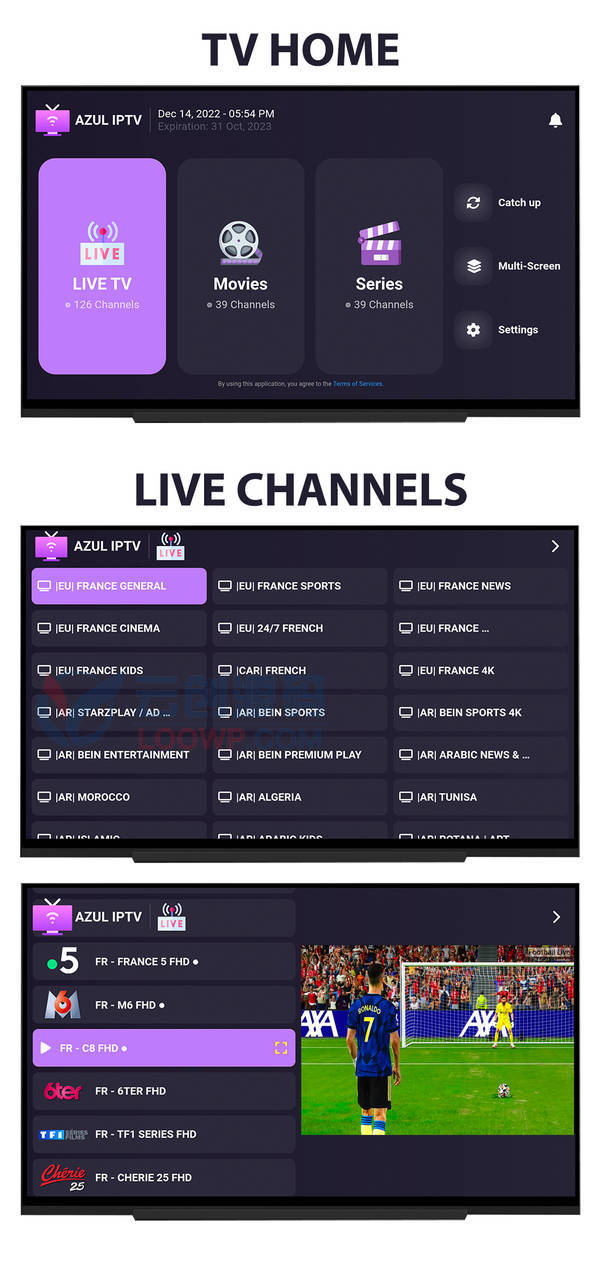 多格式IPTV网络电视系统Flutter手机端和安卓TV端APP源码