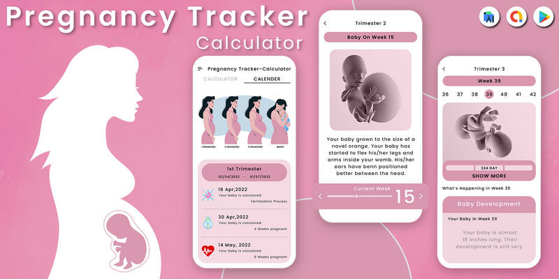 Pregnancy女性怀孕预产期计算器Android应用APP源码