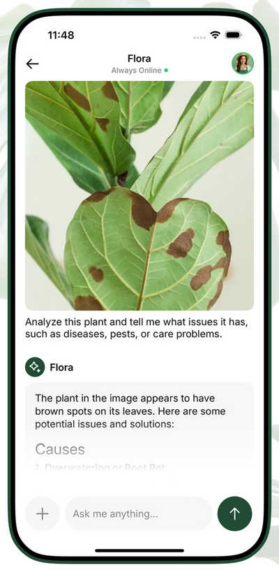 AI植物识别应用源码/iOS扫描识物APP源码/AI植物扫描仪