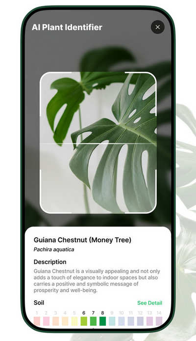AI植物识别应用源码/iOS扫描识物APP源码/AI植物扫描仪